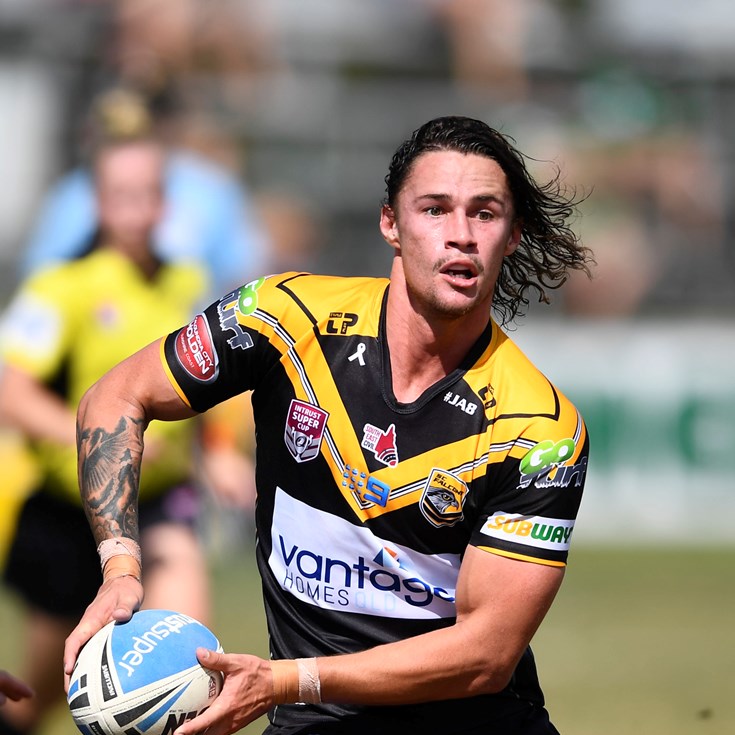 Falcons fly high against the Capras