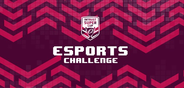 Falcons lead E-sports Challenge ladder