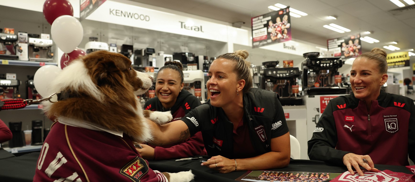 In pictures: Maroons meet and greet at Harvey Norman