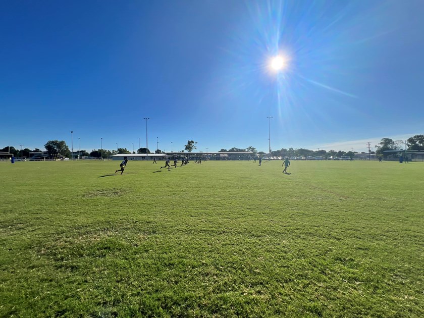 A lush field in Cloncurry in April.