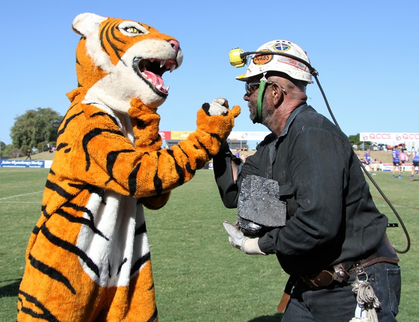 Rivalry is also fierce between the Wests Tigers and Moranbah Miners mascots in the Mackay and District Rugby League competition