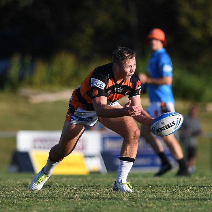 Tigers click to outclass Gulls
