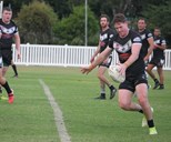 Bundaberg Round 8 preview: Battles of the birds and big cats