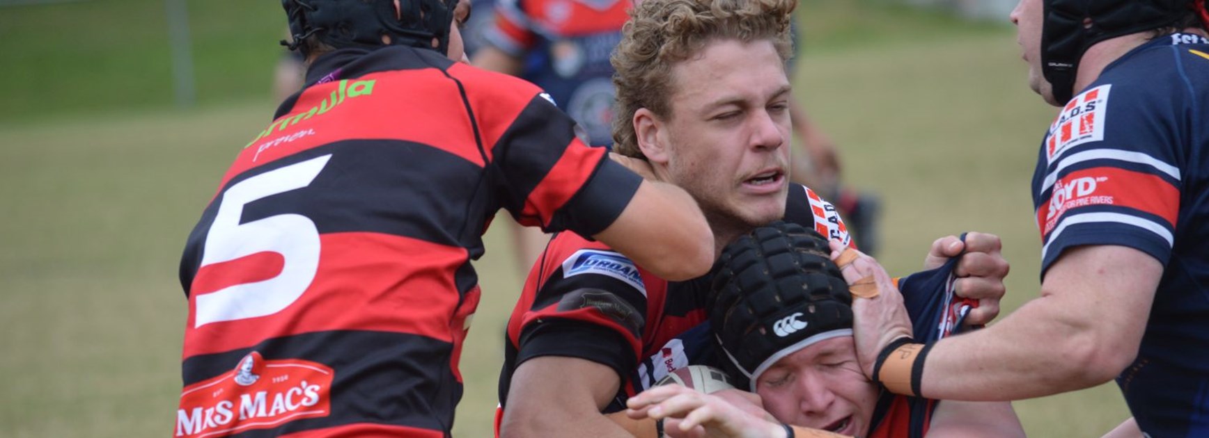 RLB Opens wrap: Son of a 'Bull' seals it for Panthers over Hornets