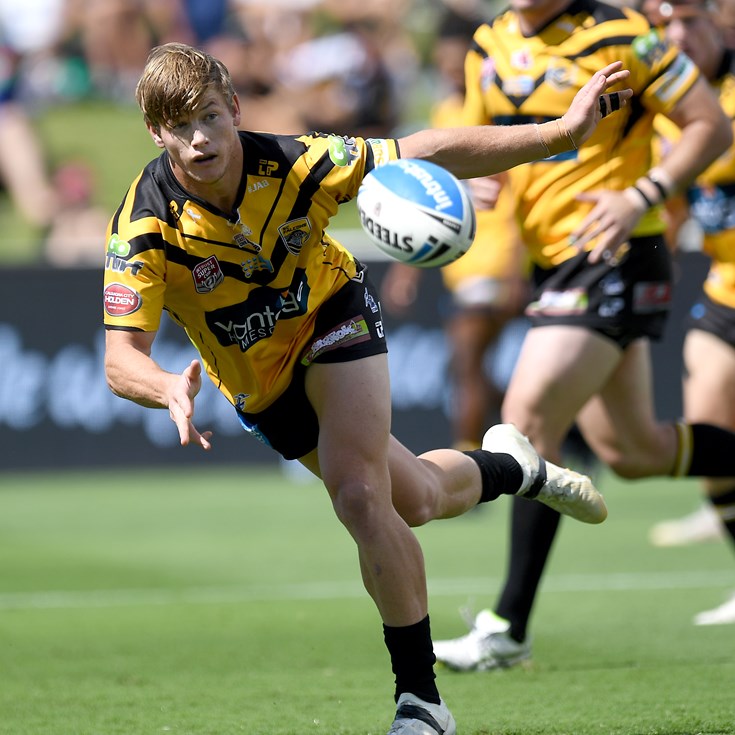 Sharp Falcons fire against Tigers