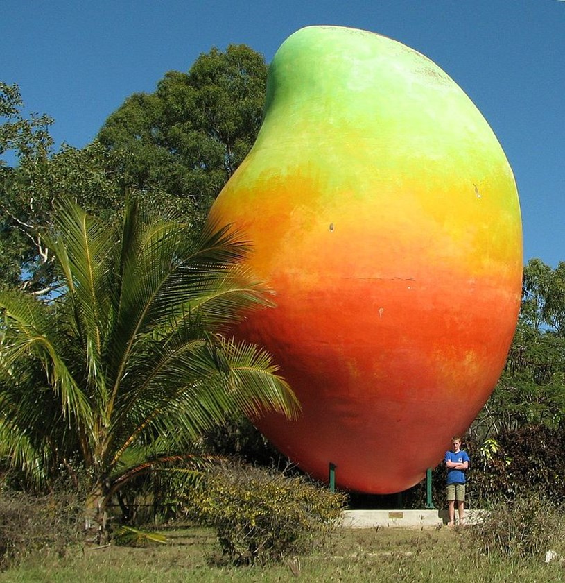 Popular local landmark, the Bowen Mango.