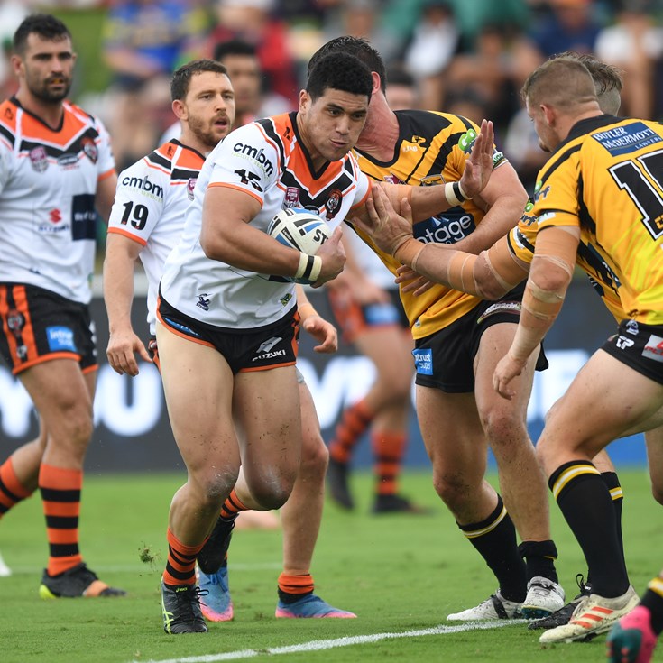 2019 Year in Review: Easts Tigers