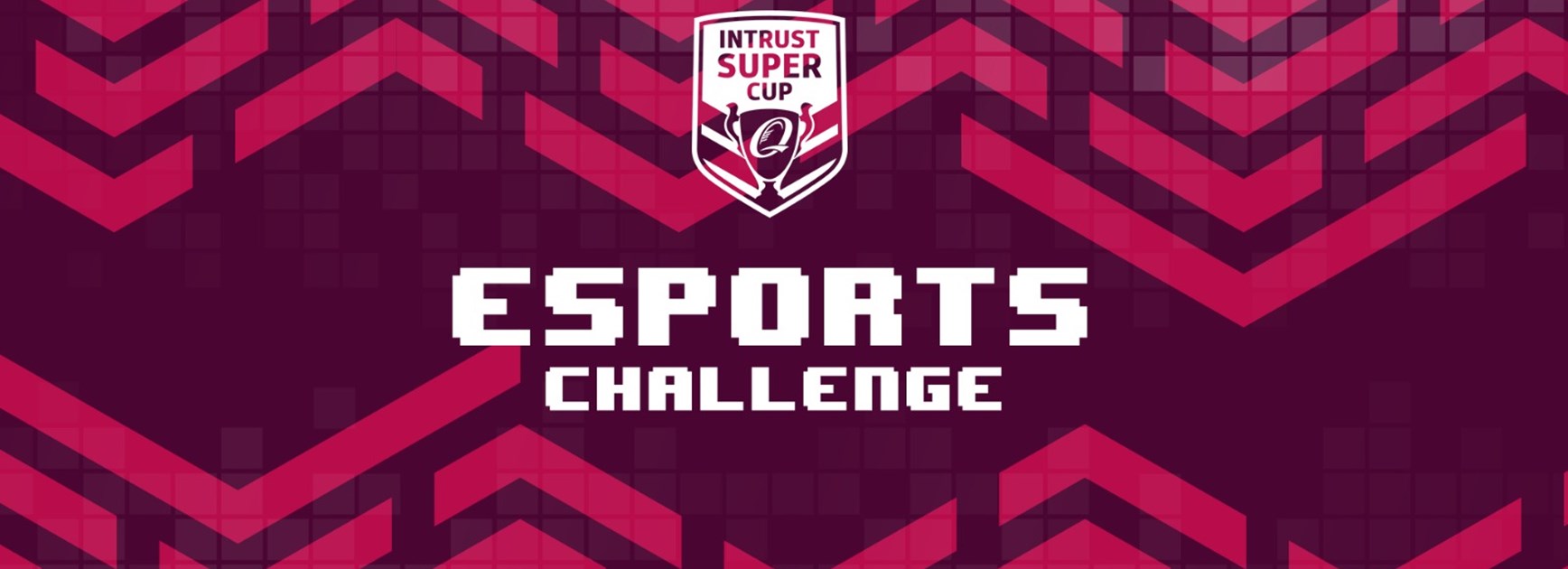 Bears and Falcons undefeated in E-sports Challenge