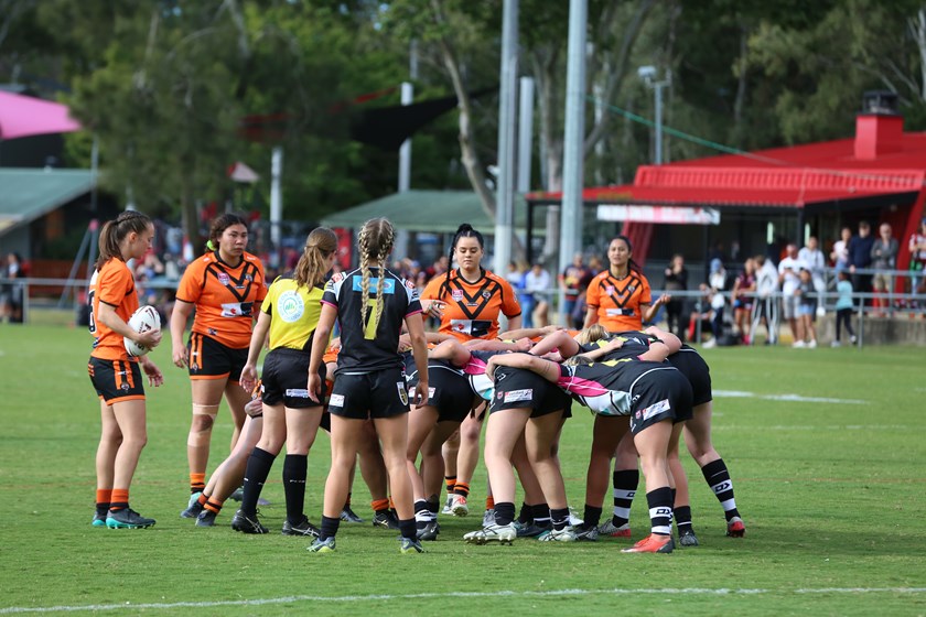 Tweed Seagulls and Easts Tigers form a scrum. Photo: Colleen Edwards / QRL