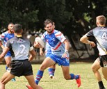 Toowoomba livewires throw down gauntlet for Brisbane