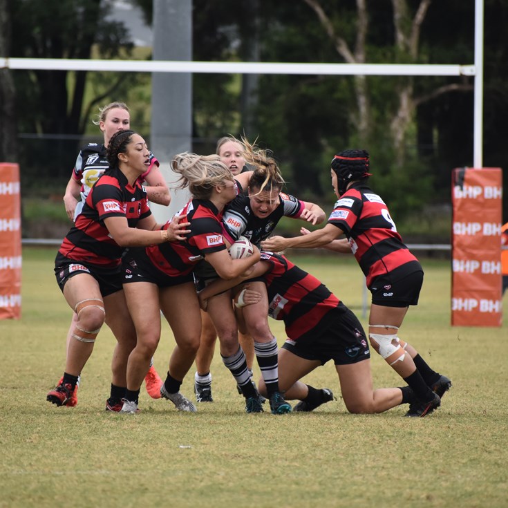 Panthers find their straps against Seagulls