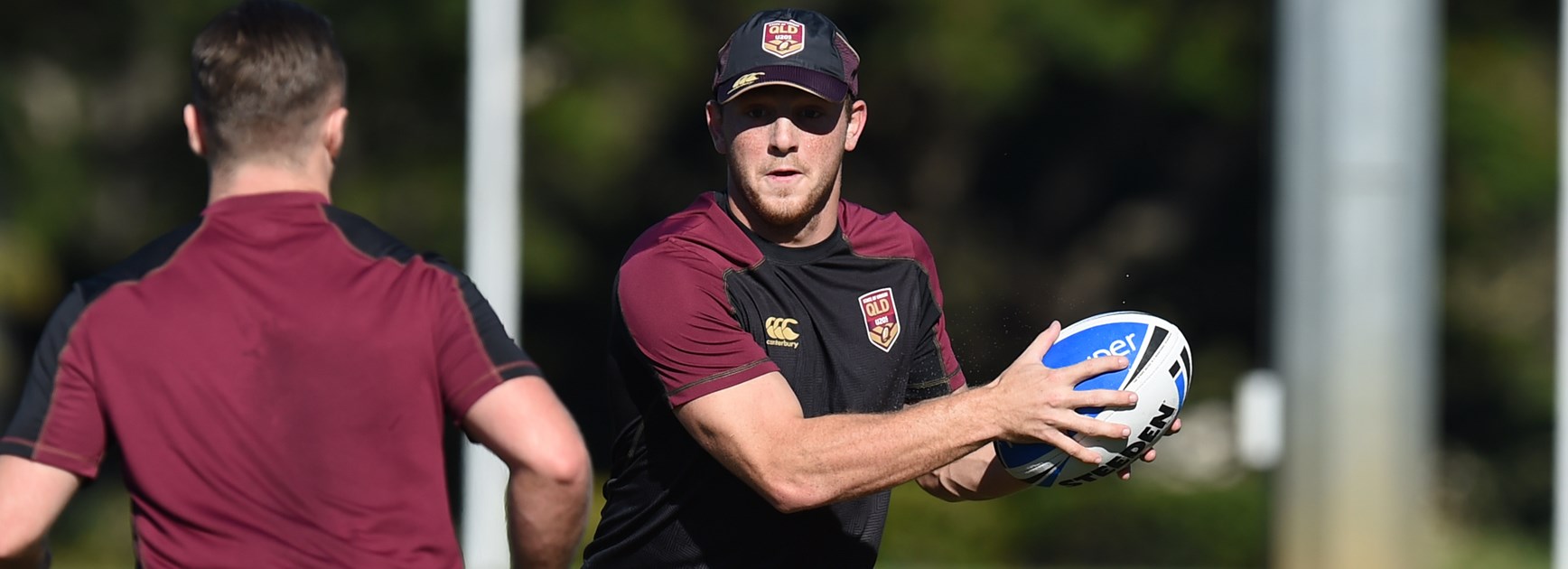 Bambling enjoying Canberra life