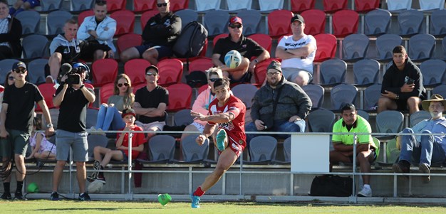 Dolphins firm for top spot in ladder jostle