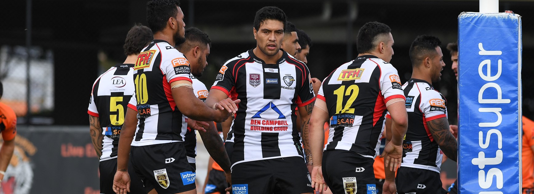 Seagulls celebrate finals footy with family fun day