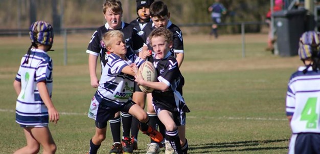 Bundaberg Junior Rugby League keen to press ahead
