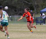 Nations come together for QPICC