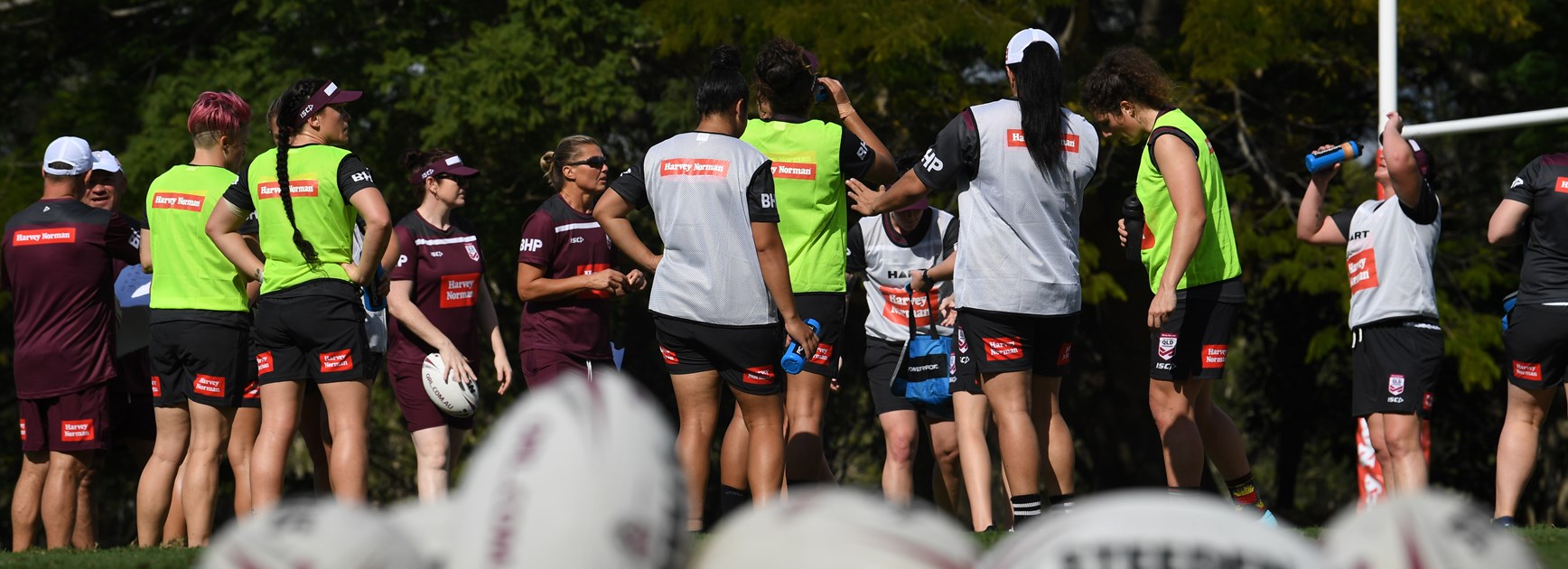 Iso update: Harvey Norman Queensland Maroons