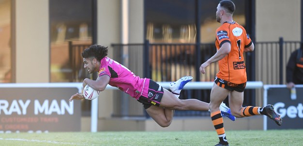 Memorable match for milestone Bears in defeat of Tigers