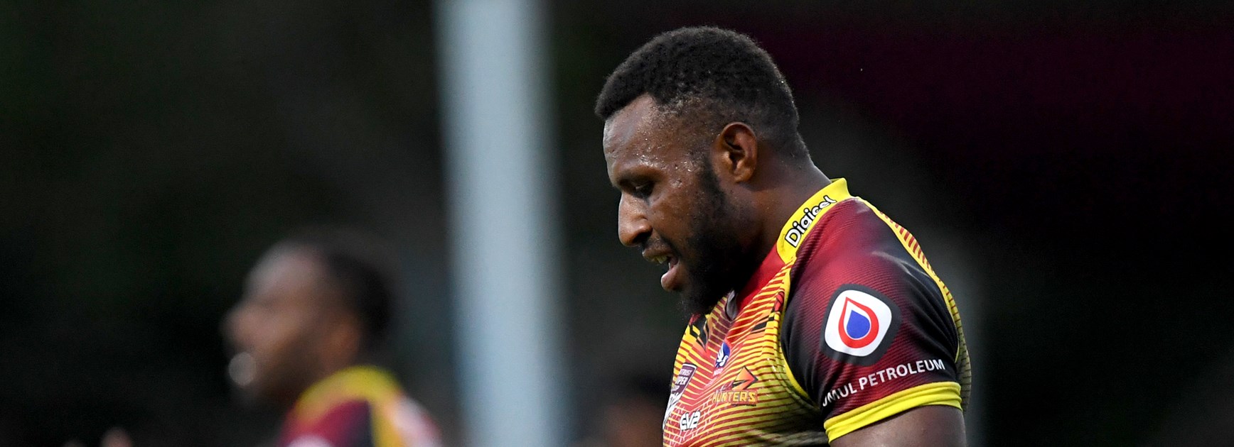 2019 Year in Review: PNG Hunters
