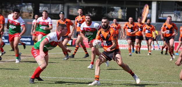 Seagulls take on Tigers in elimination final