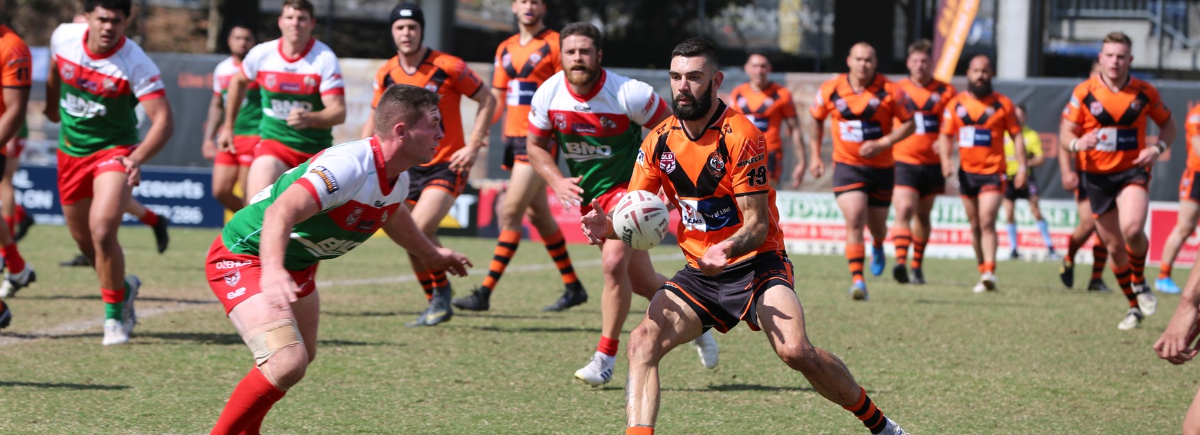 Seagulls take on Tigers in elimination final