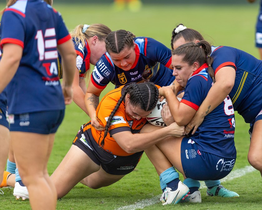 Brisbane Tigers v Western Clydesdales. Photo: Benny Hassum/Western Clydesdales