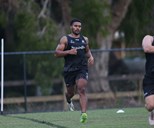 Tweed Seagulls: Cup gains and losses for 2025