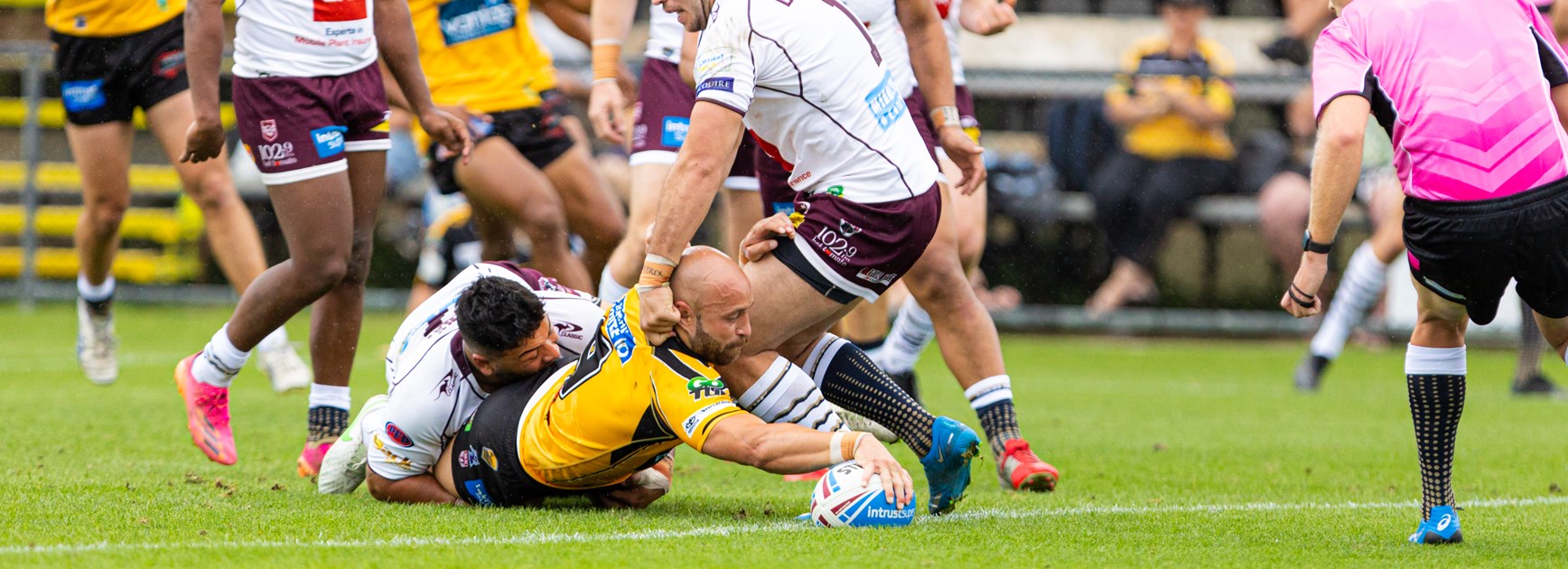 Sunshine Coast put on classy display against Bears