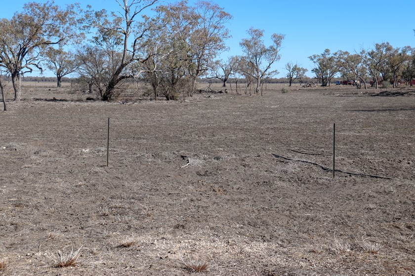 A snapshot of the effect the devastating drought is having on Dirranbandi - this photo was taken next to the State School.