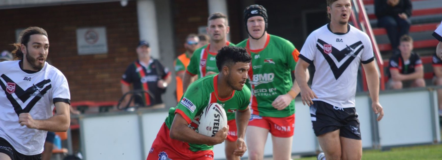 Seagulls victorious in battle of the birds