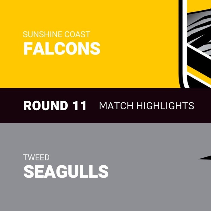 Round 11 clash of the week: Sunshine Coast Falcons v Tweed Seagulls