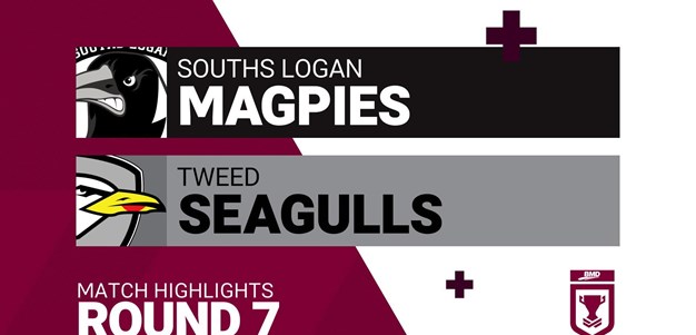 Round 7 highlights: Tweed Seagulls v Souths Logan Magpies