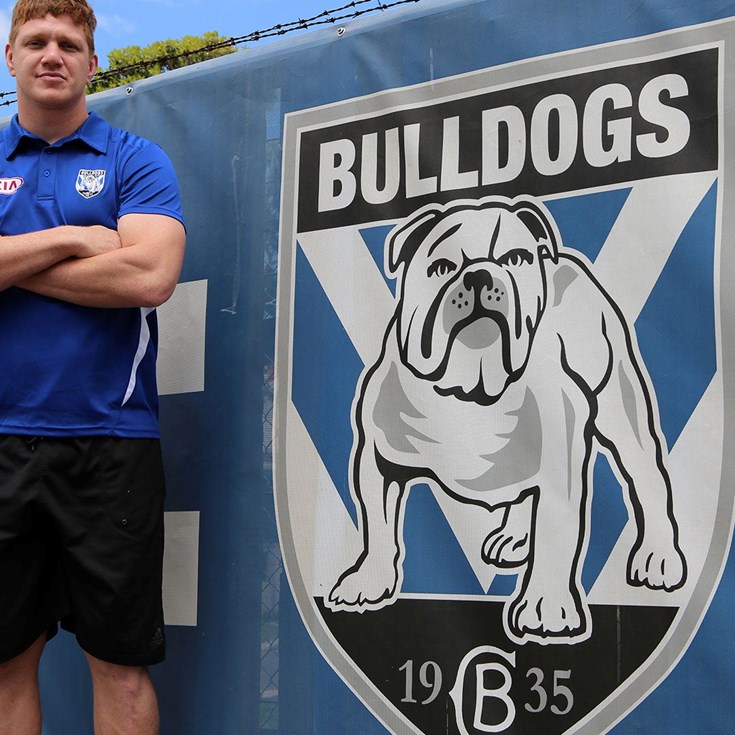 New Bulldog Napa aims to earn respect of the playing group