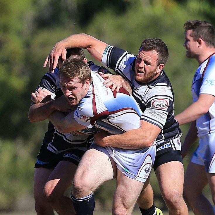 Seagulls overcome brave Capras
