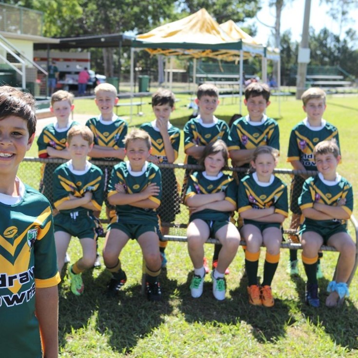 Bears to represent Qld in junior Origin