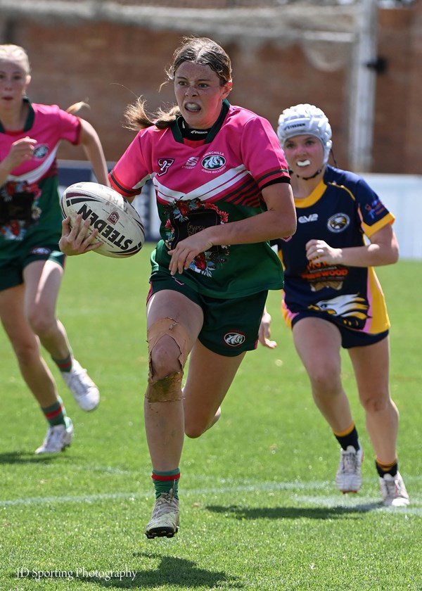 Chinchilla v Highfields